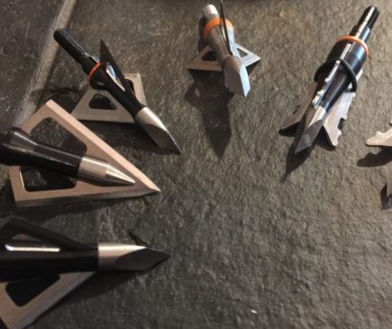 Wasp Archery Broadheads