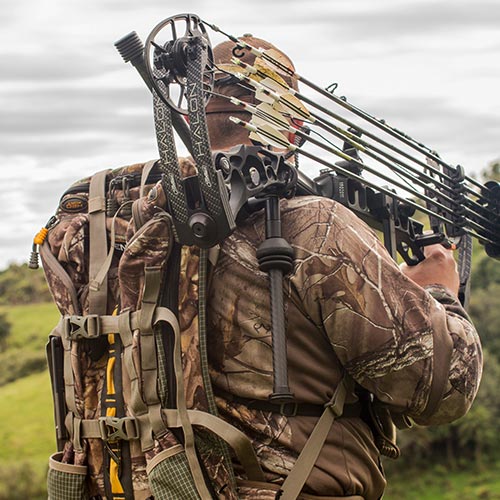 find-dealer-large Wasp Archery Broadheads