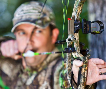 Wasp Archery broadhead regulations by state