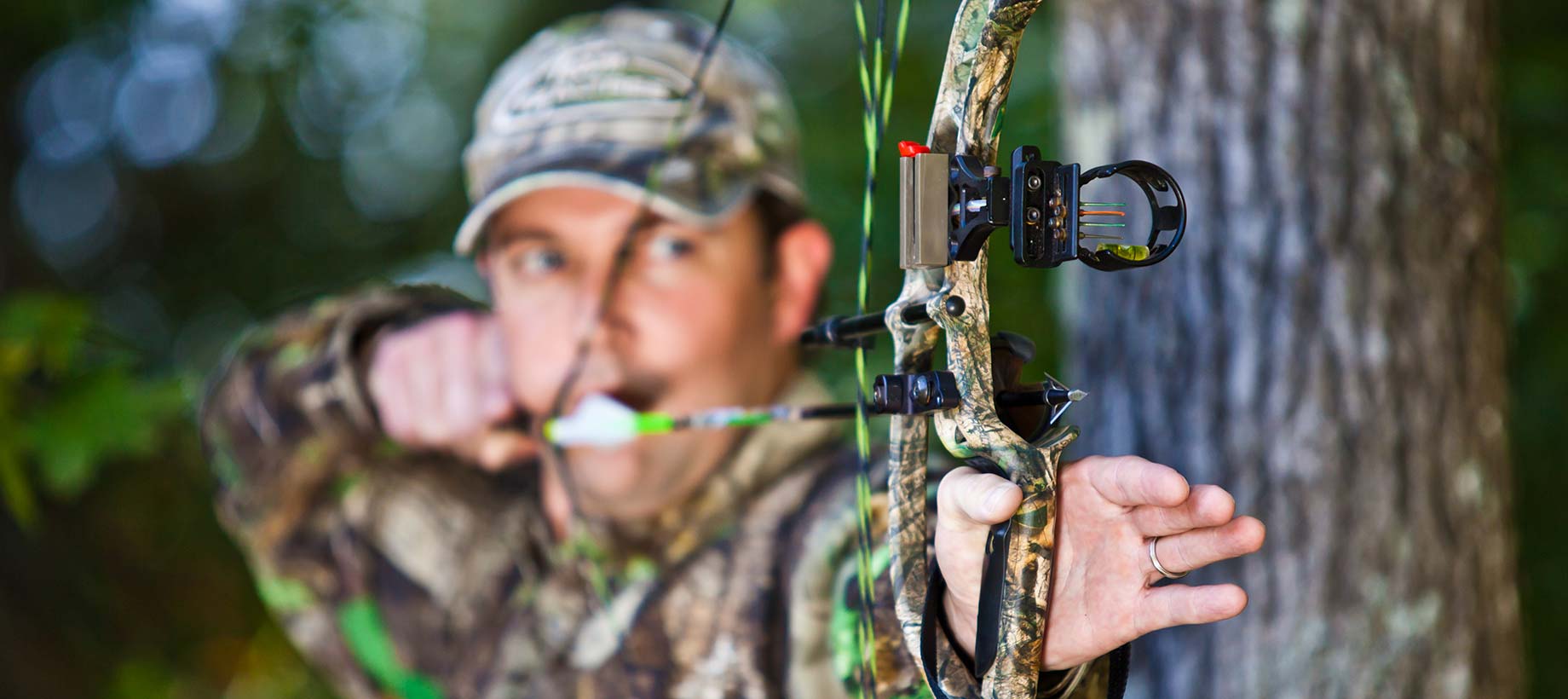 Wasp Archery broadhead regulations by state