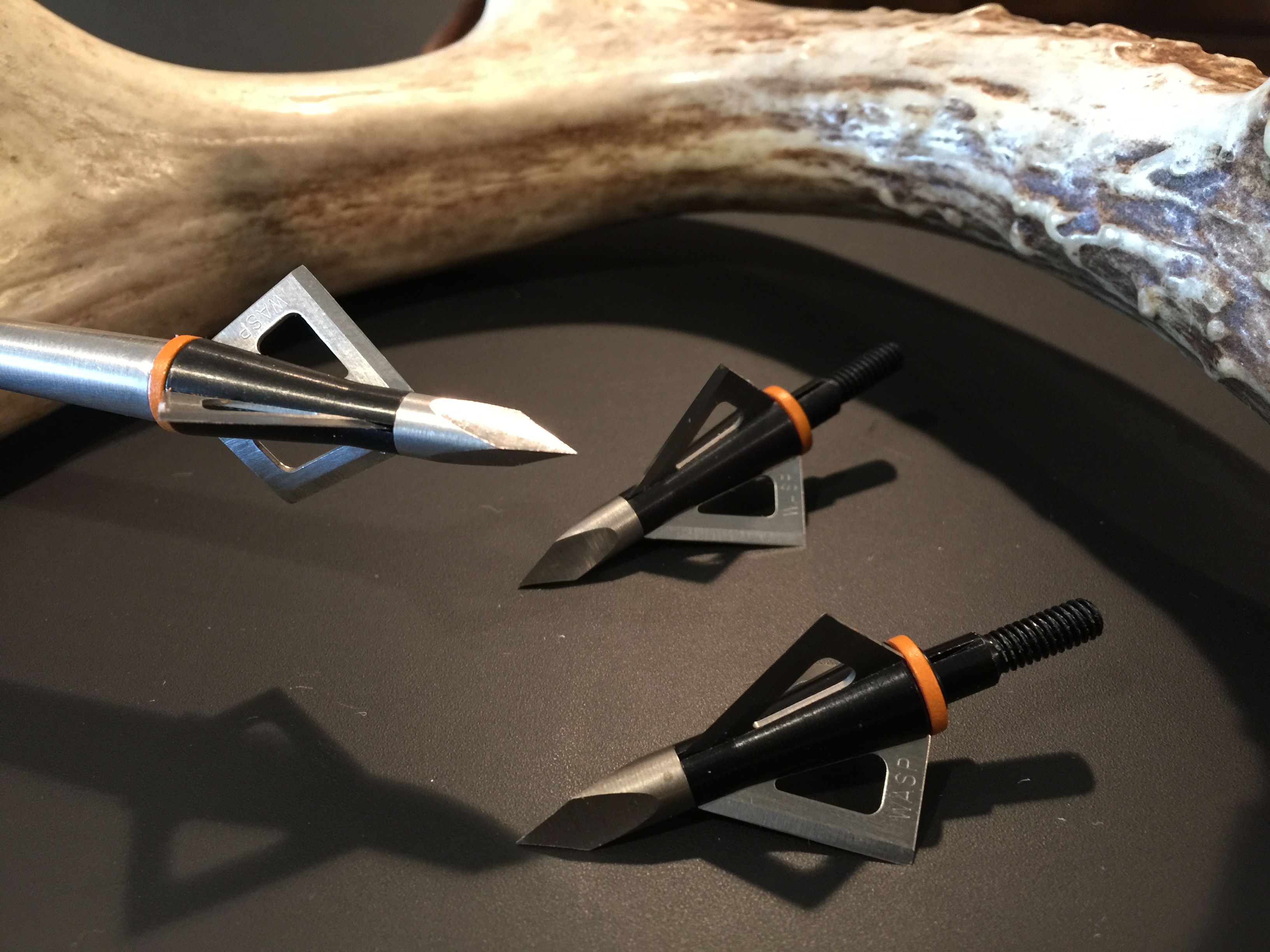 Wasp Archery Broadheads