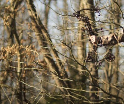 Bow hunting leafless concealment