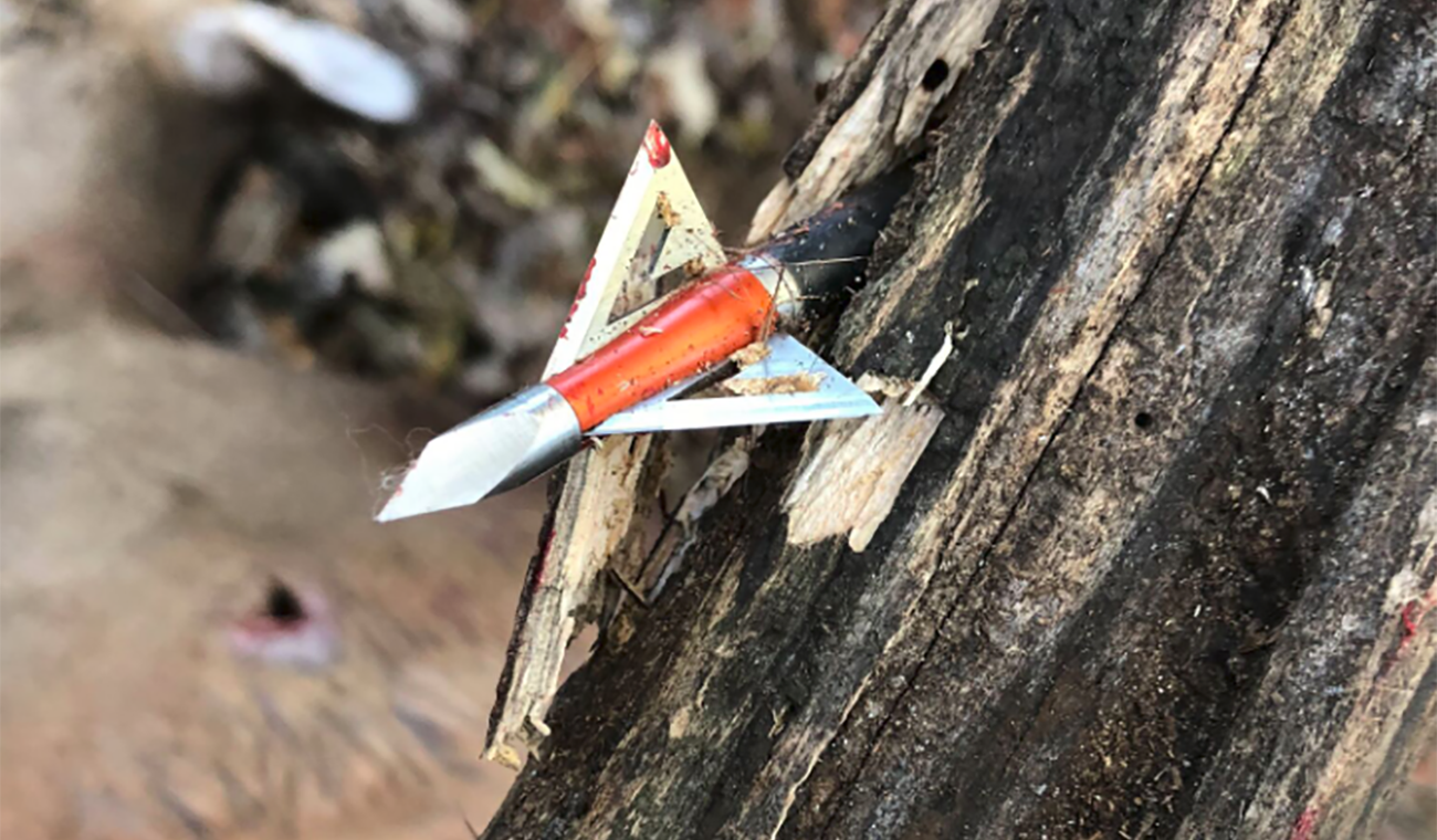 havalon hv through wood