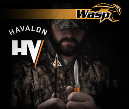 Wasp Havalon HV - Best New Fixed Broadhead