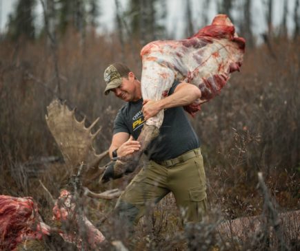 moose hunt
