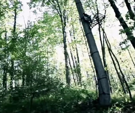 hang-your-deer-hunting-tree-stands
