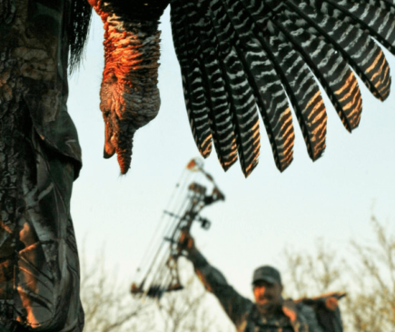 Turkey Hunter Carrying Dead Turkey While Turkey Hunting