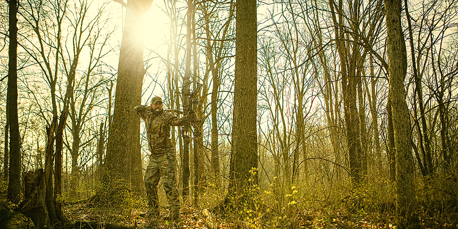 bowhunter in the woods