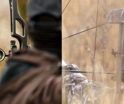 Single-Pin vs. Multi-Pin Sights – Which is Better?