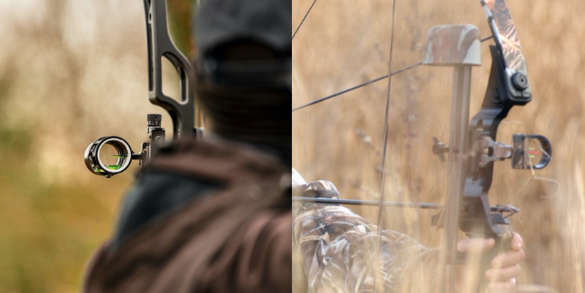 Single-Pin vs. Multi-Pin Sights – Which is Better?