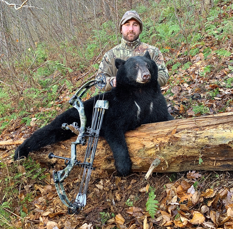 Wasp Drones strike down two more black bears