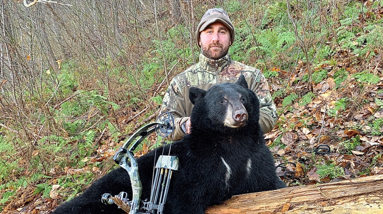 The best broadhead for bears