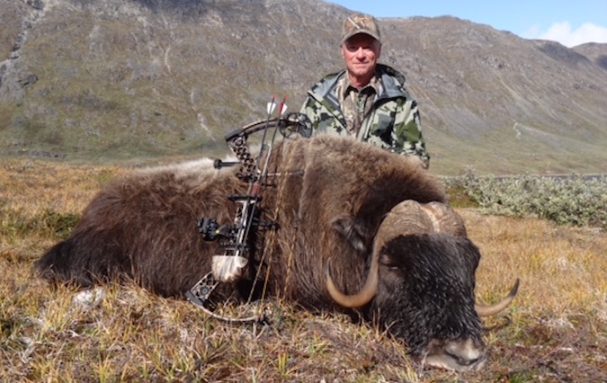 The best broadhead for musk ox & bison