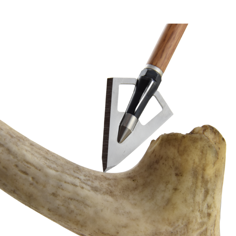 The Best Broadheads for Elk Hunting Wasp Archery