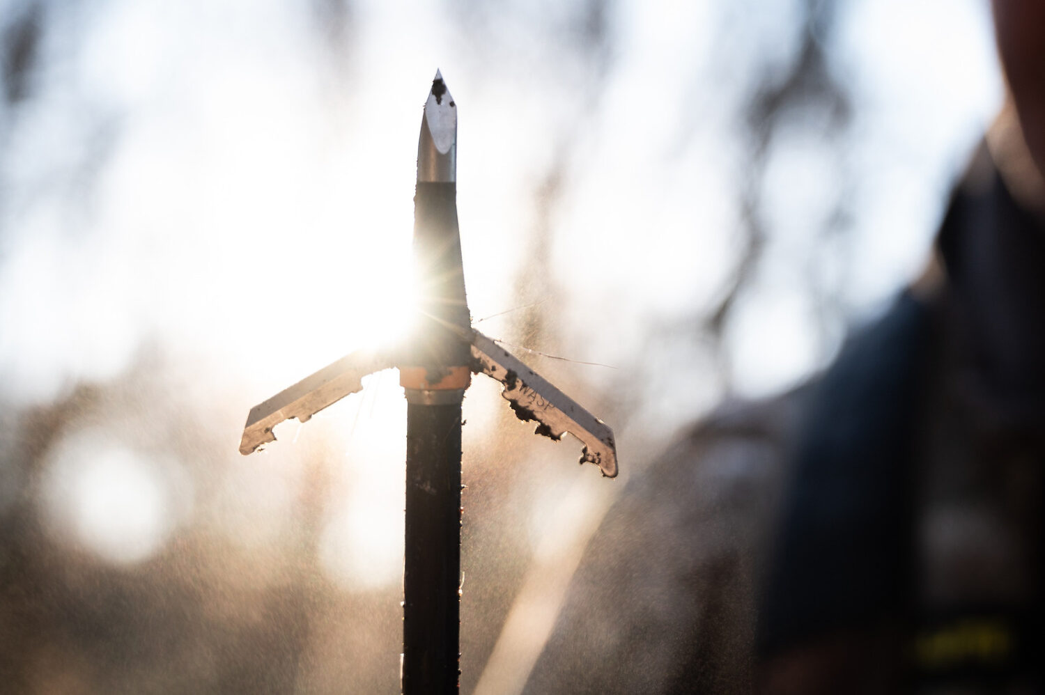 Best Broadhead for Crossbow Wasp Archery