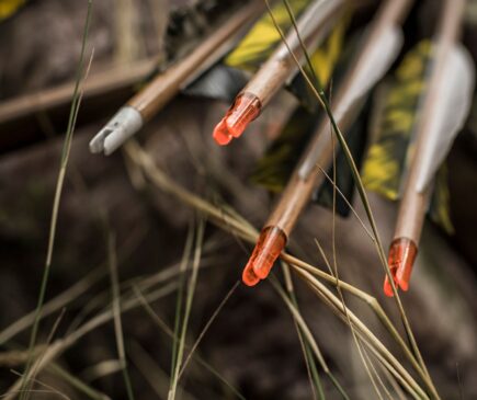 Broadheads for Traditional Bowhunting