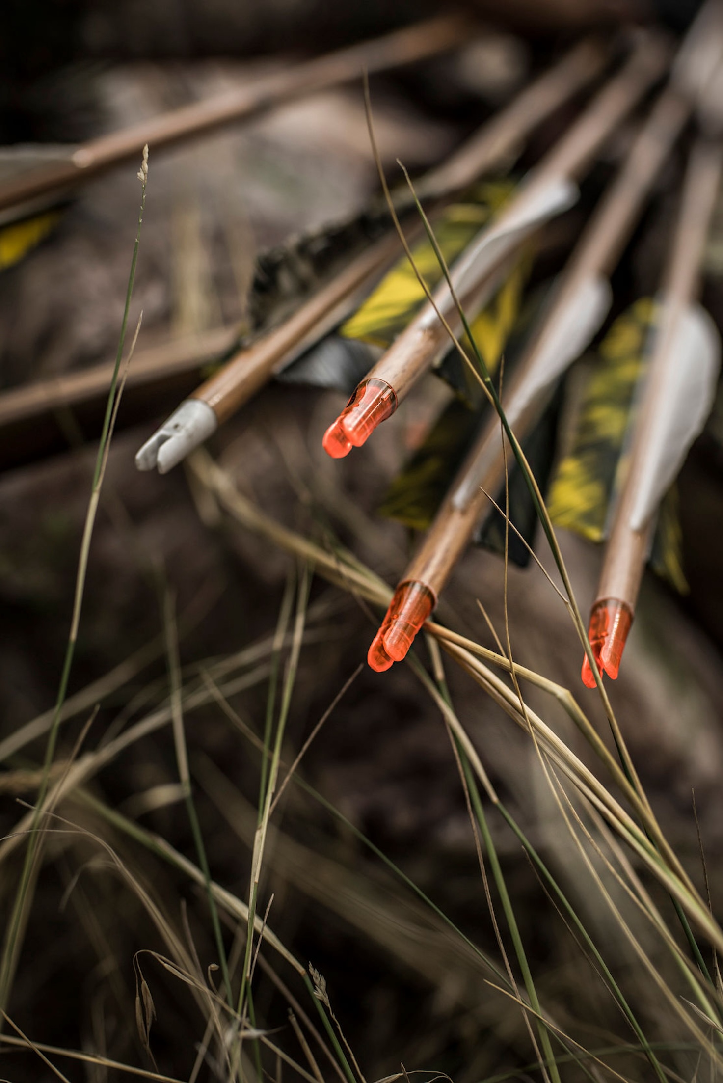 Broadheads for Traditional Bowhunting