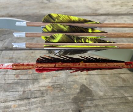 Recurve Bow Effectiveness