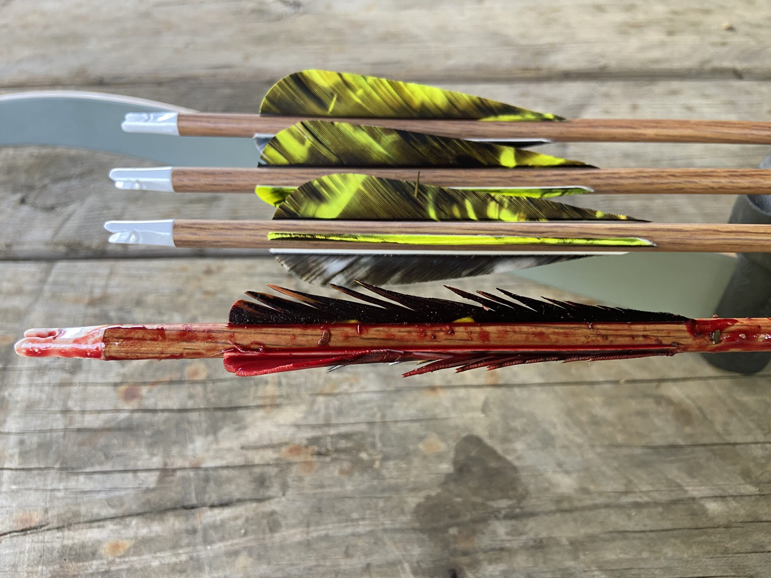 Recurve Bow Effectiveness