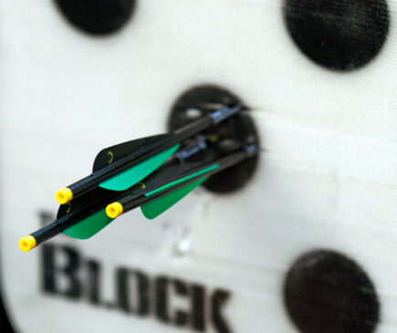 Crossbow bolts close up in target