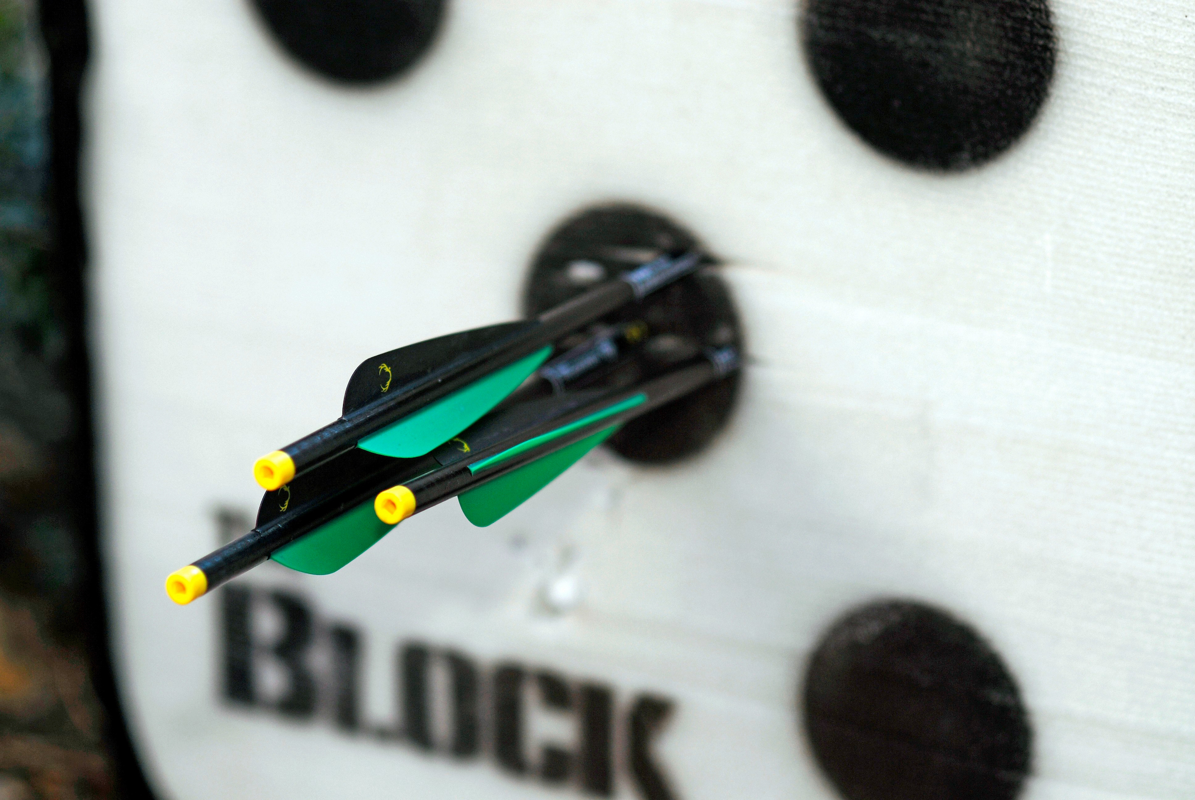 Crossbow bolts close up in target